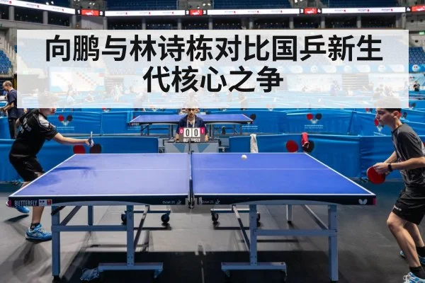 向鹏与林诗栋对比国乒新生代核心之争